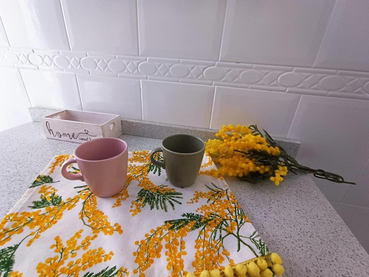 Mimosa Home Talavera de la Reina Kültér fotó